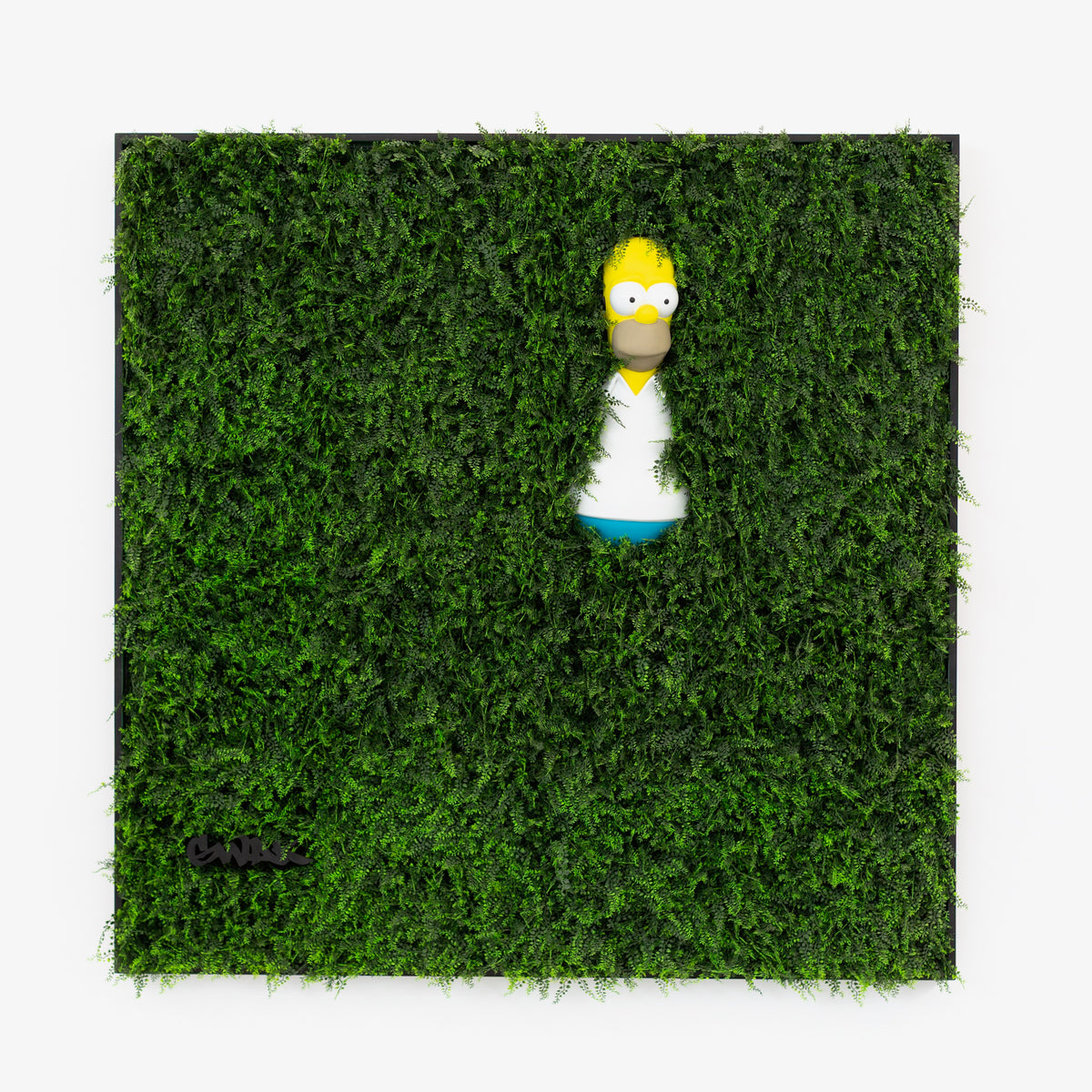 HOMER WALL