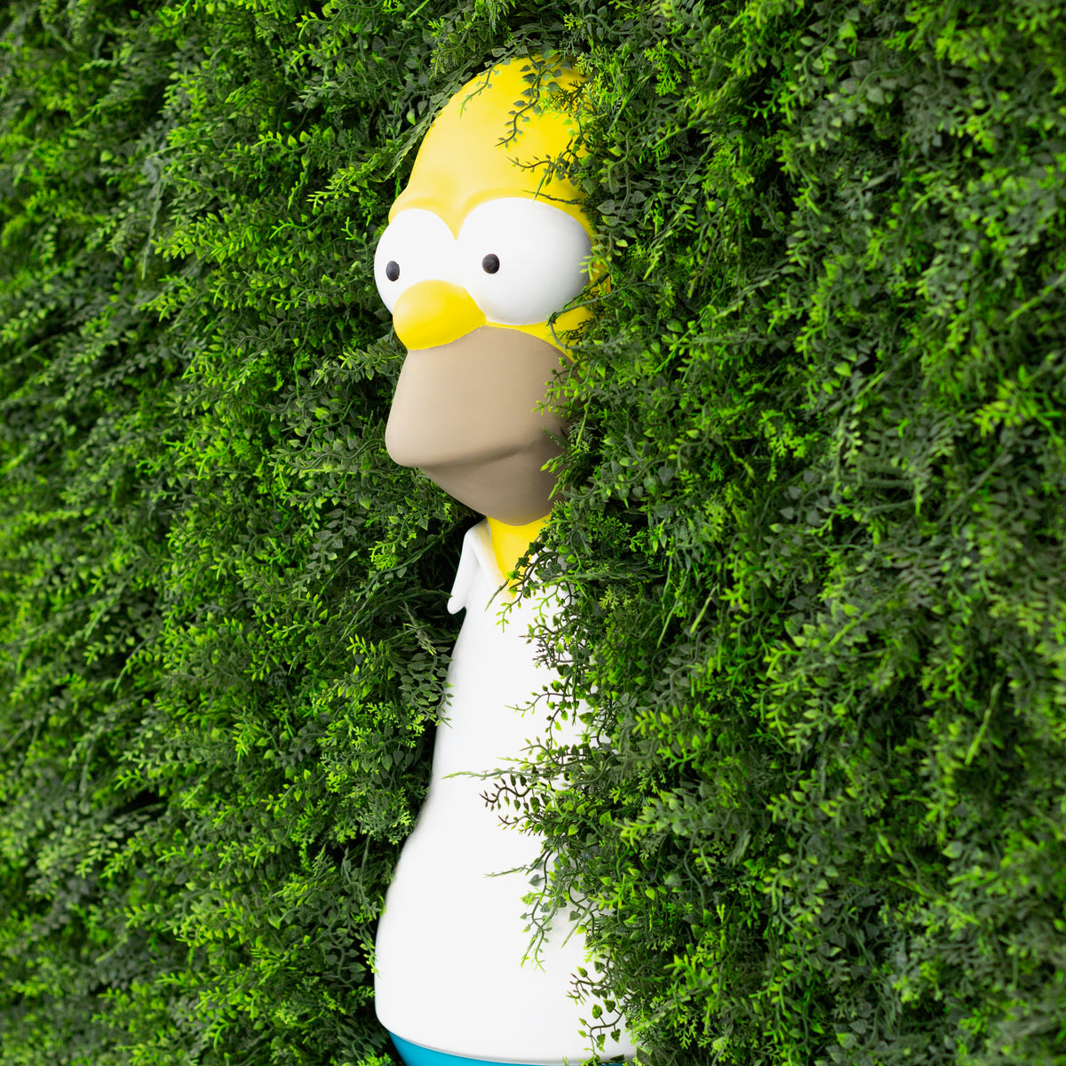 HOMER WALL
