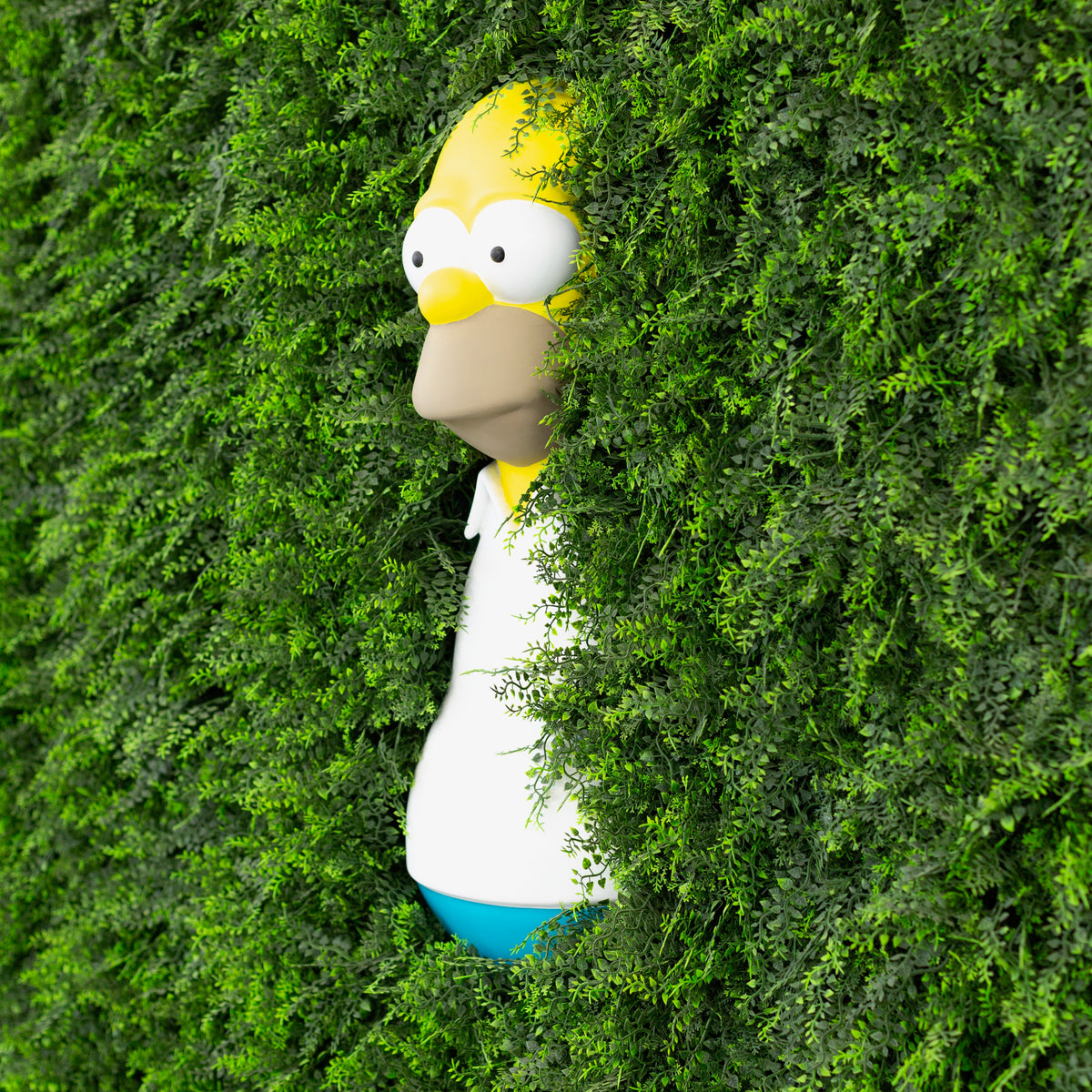 HOMER WALL